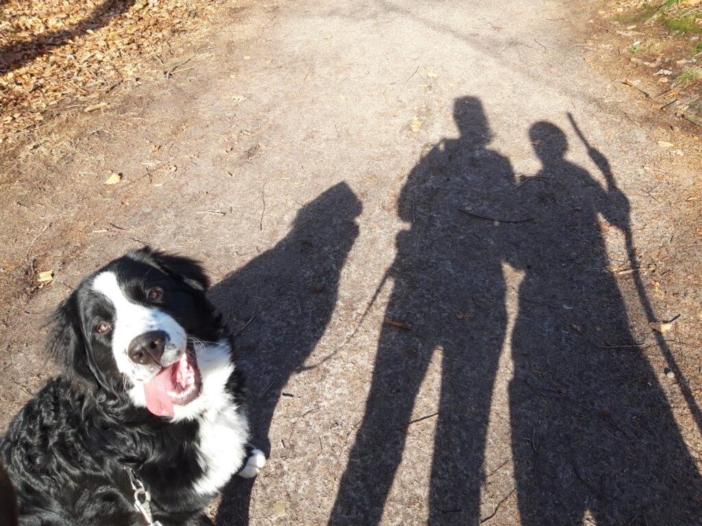 Hond als spiegel: een hond kijkt liefdevol omhoog naar zijn baasjes, terwijl hun schaduwen zichtbaar zijn. Verbinding tussen mens en dier.